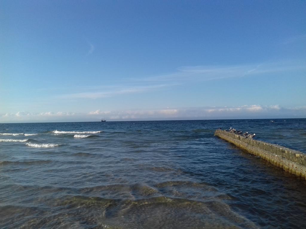 Bed and Breakfast Dolphin House Leba Exterior foto