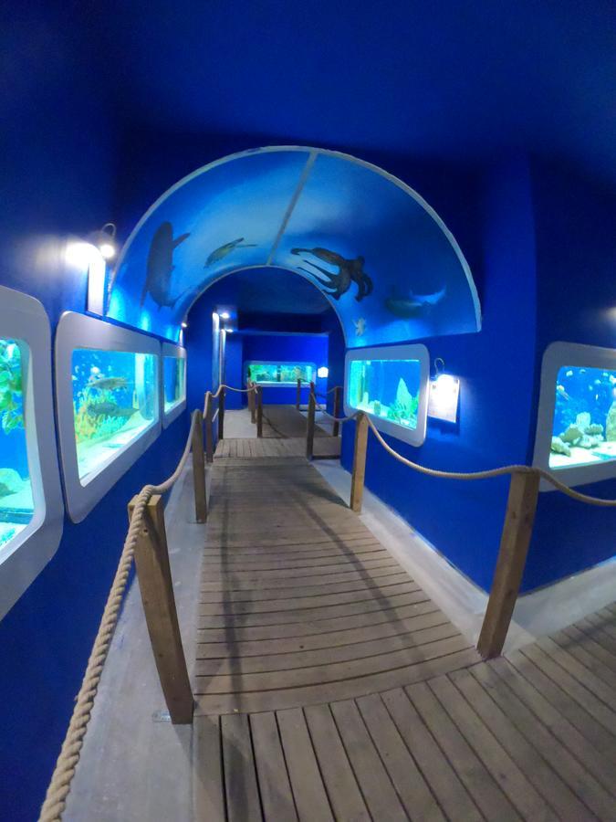 Bed and Breakfast Dolphin House Leba Exterior foto