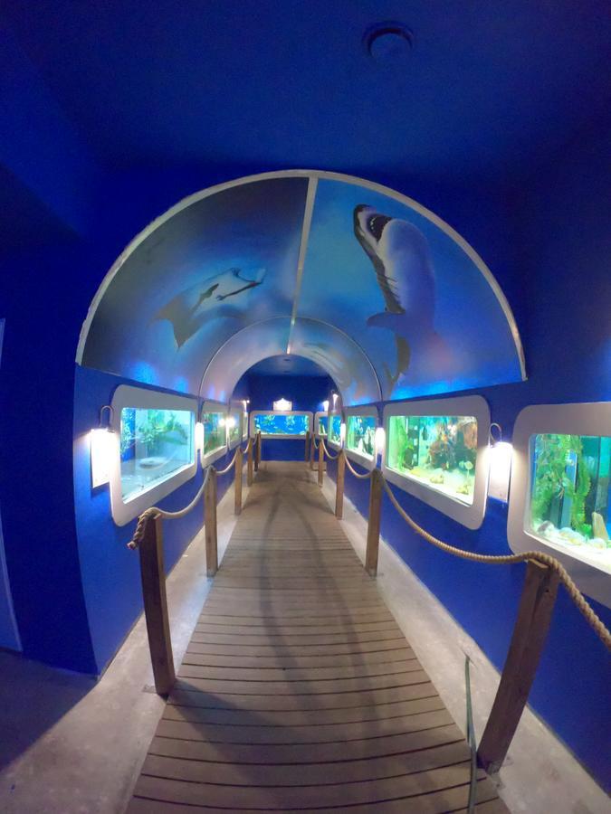 Bed and Breakfast Dolphin House Leba Exterior foto